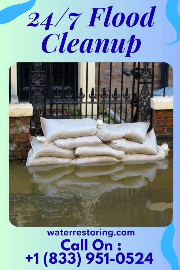24/7 Flood Cleanup in Grandyle Village, NY