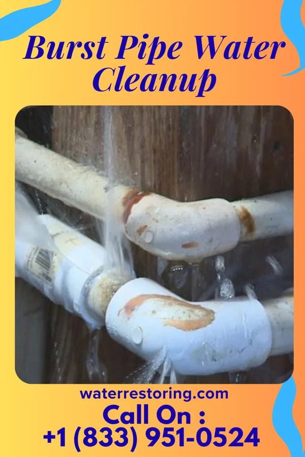 Burst Pipe Water Cleanup in Grandyle Village, NY