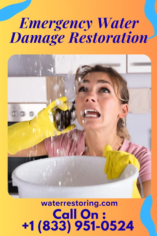 Emergency Water Damage Restoration in Grandyle Village, NY