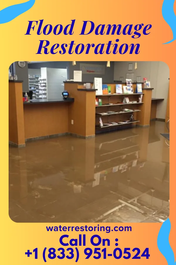Flood Damage Restoration in Grandyle Village, NY
