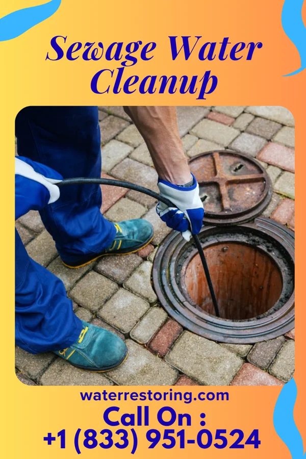 Sewage Water Cleanup in Grandyle Village, NY